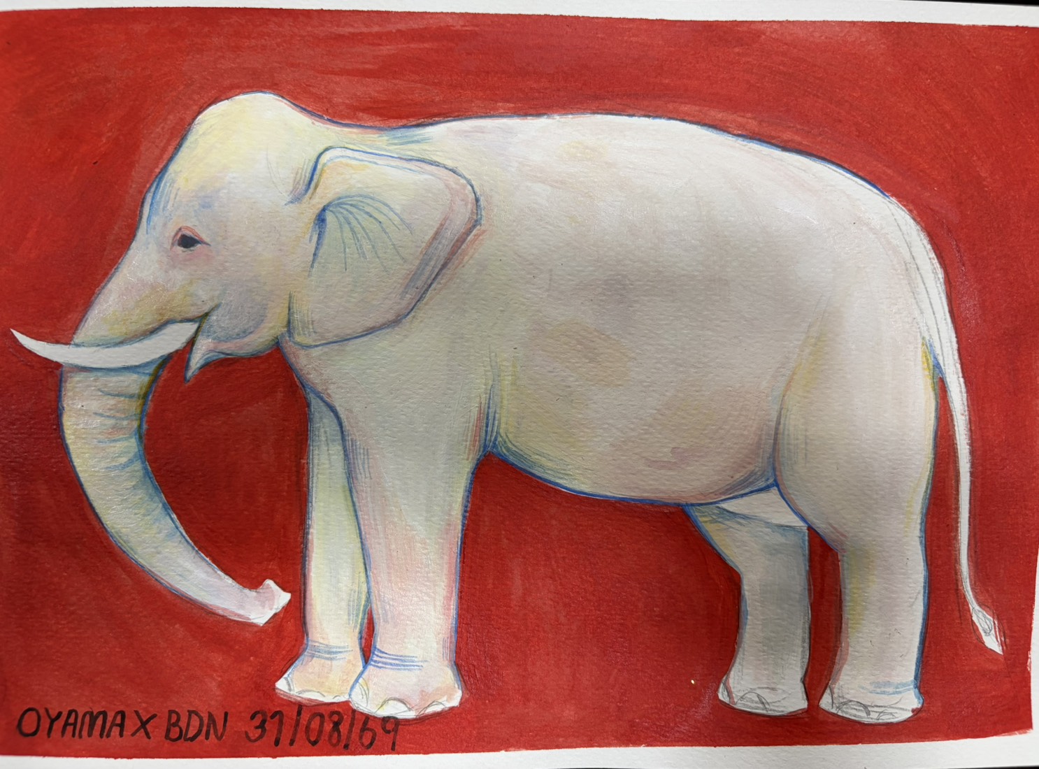 image10